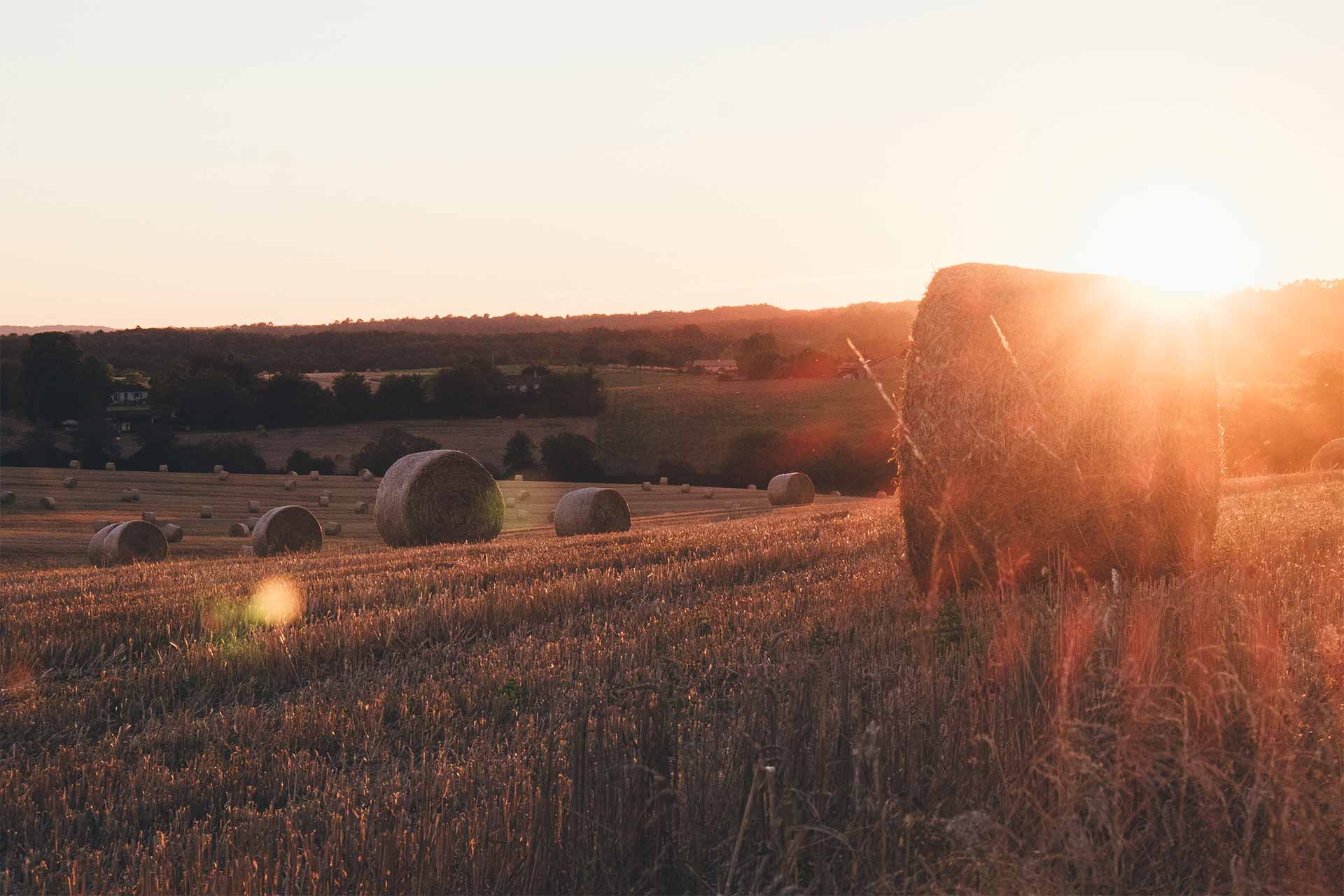 Countryside-header